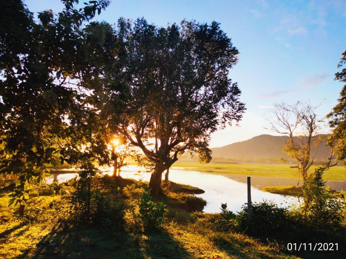 Lake Front Yala Safari 카타라가마 외부 사진