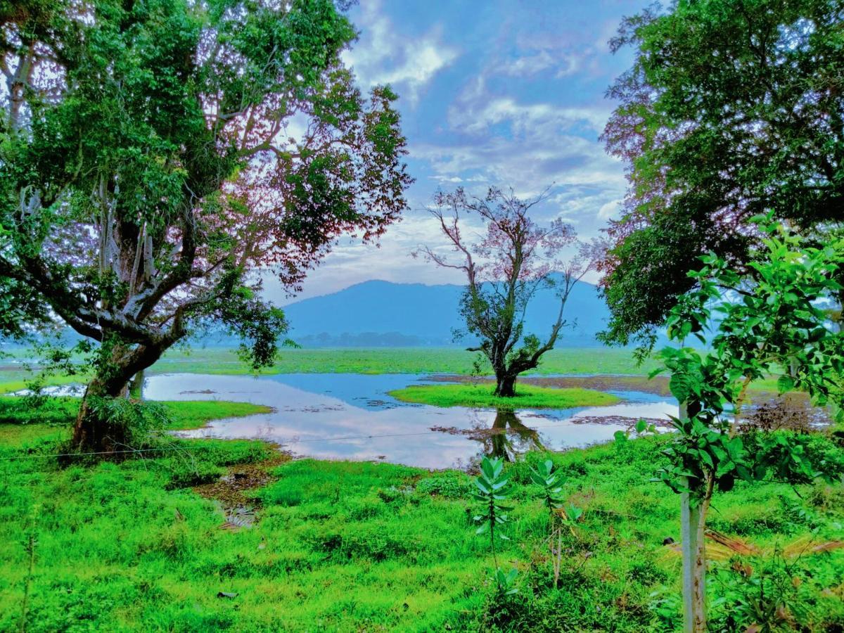 Lake Front Yala Safari 카타라가마 외부 사진