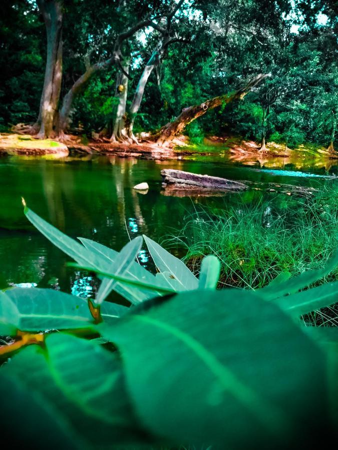 Lake Front Yala Safari 카타라가마 외부 사진