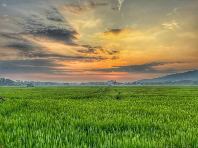Lake Front Yala Safari 카타라가마 외부 사진