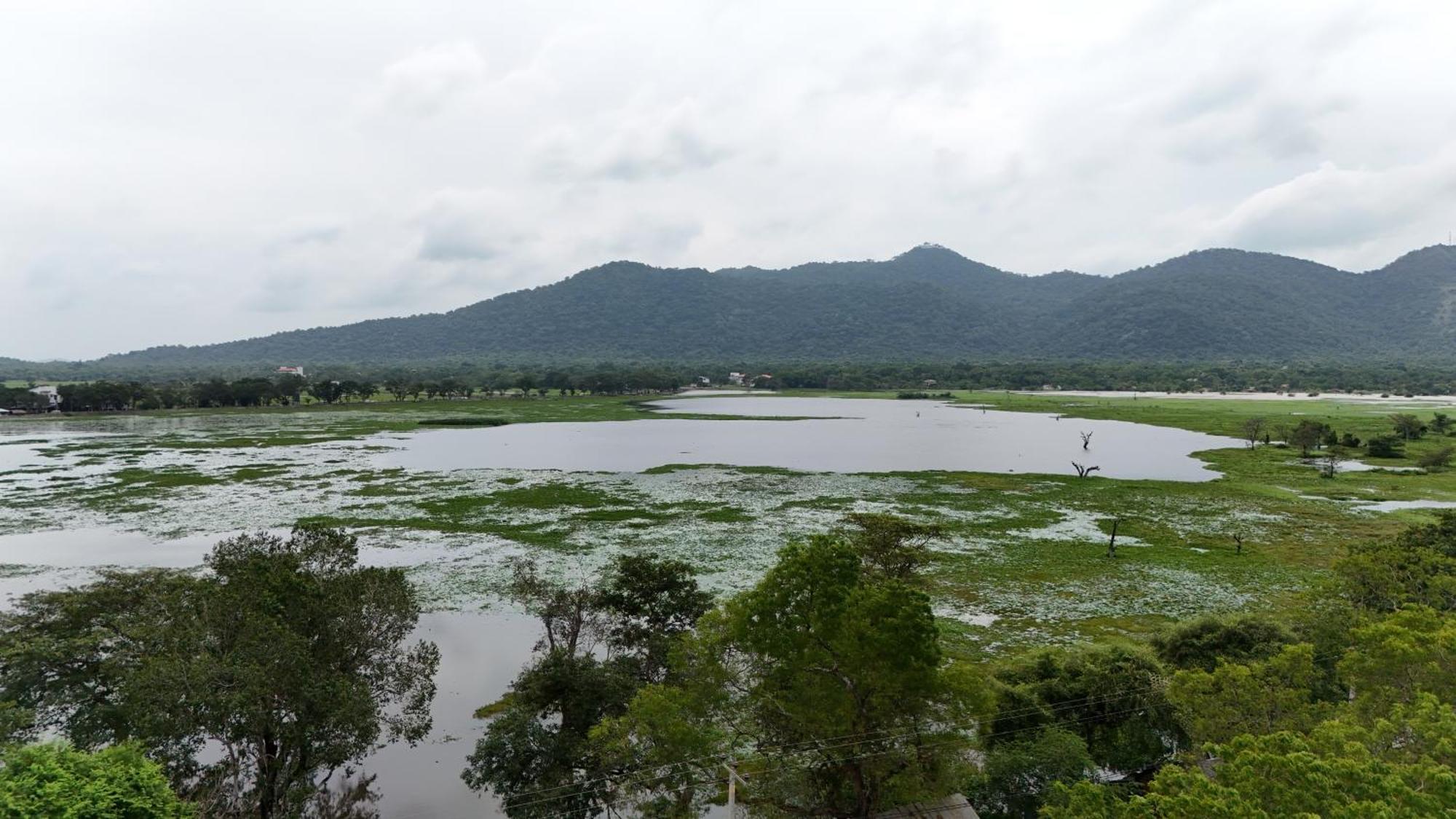 Lake Front Yala Safari 카타라가마 외부 사진