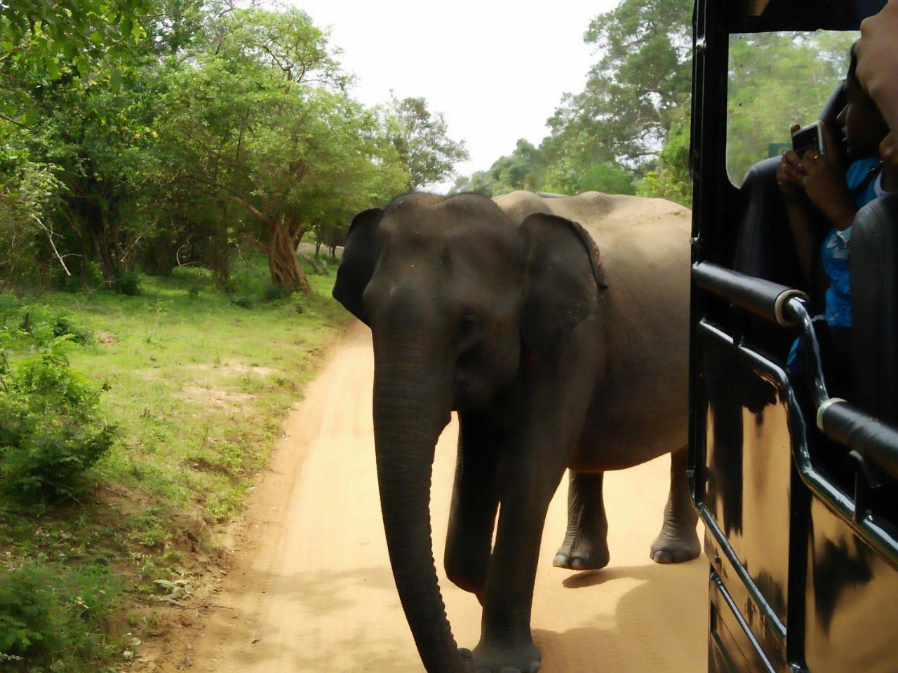 Lake Front Yala Safari 카타라가마 외부 사진